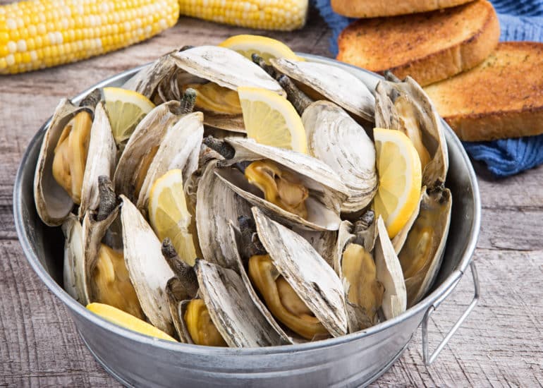 seafood nh
